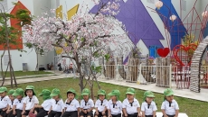 Lớp Trẻ 2 Khám Phá Cung Văn Hóa Thiếu Nhi Đà Nẵng Lớp Trẻ 2 Khám Phá Cung Văn Hóa Thiếu Nhi Đà Nẵng